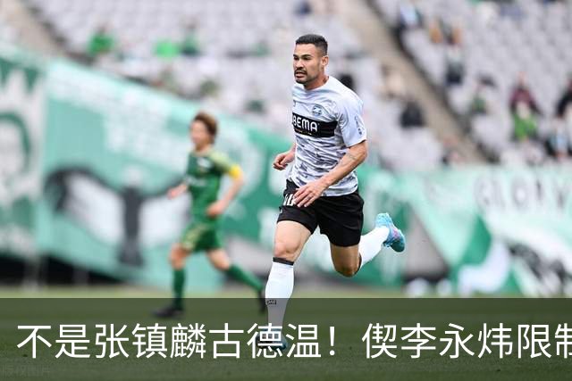 不是张镇麟古德温！偰李永炜限制里勒立大功，上海105-92击败北控