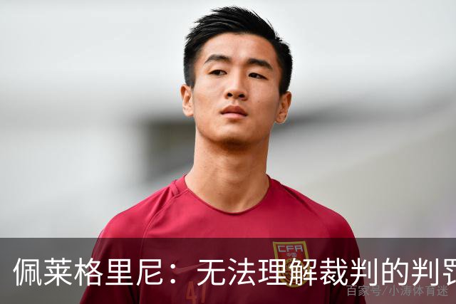 佩莱格里尼：无法理解裁判的判罚；红牌让比赛失去平衡