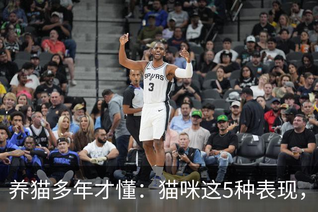 养猫多年才懂：猫咪这5种表现，不是撒娇，是旺家的征兆