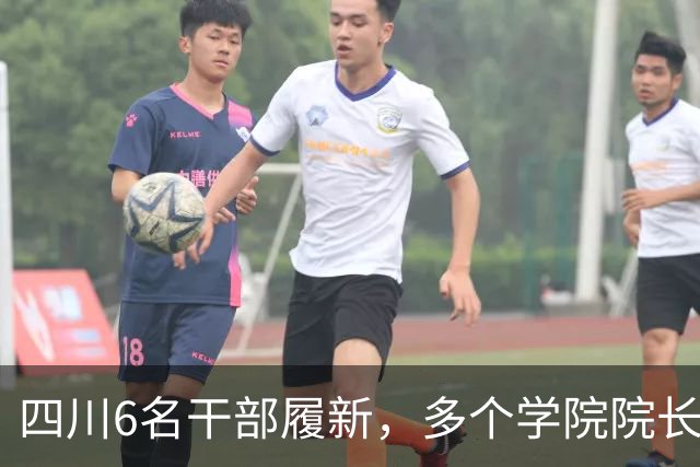 四川6名干部履新，多个学院院长调整