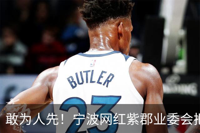 敢为人先！宁波网红紫郡业委会把长期欠物业费业主给强制执行了！