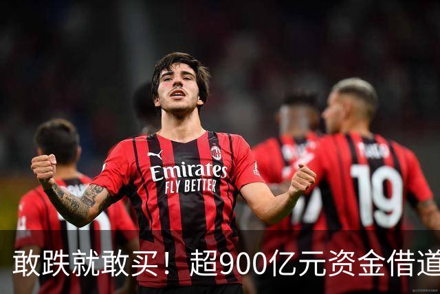 敢跌就敢买！超900亿元资金借道ETF蜂拥进场，除了沪深300，这些主题ETF也被大手笔买入