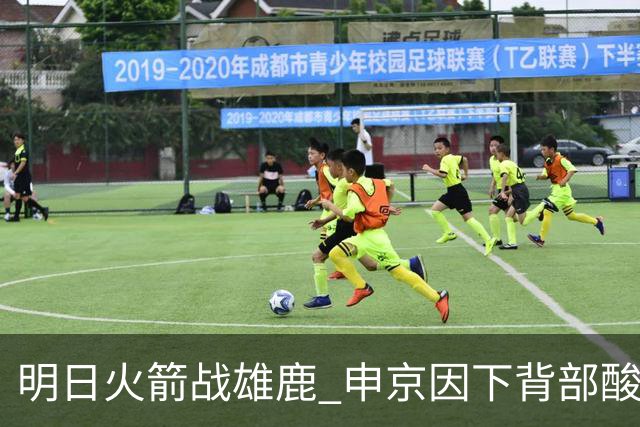 明日火箭战雄鹿 申京因下背部酸痛缺席比赛 斯玛特出战成疑
