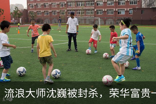 流浪大师沈巍被封杀，荣华富贵一场空