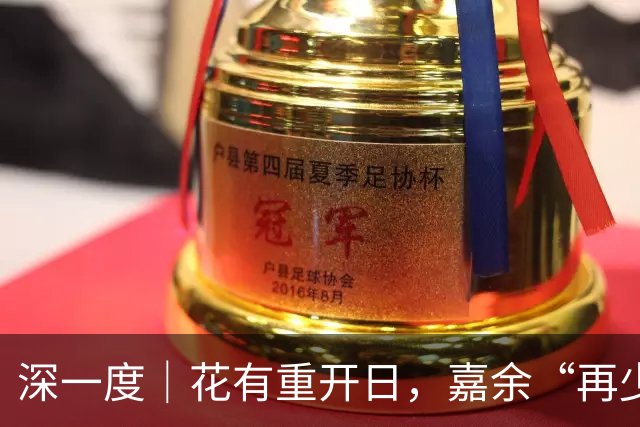 深一度｜花有重开日，嘉余“再少年”