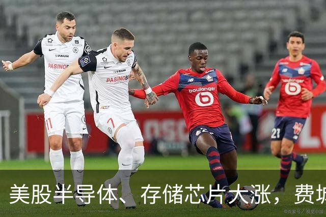 美股半导体、存储芯片大涨，费城半导体指数涨近400点，西部数据涨近7%，AMD涨超5%，特斯拉市值一夜涨超4600亿元