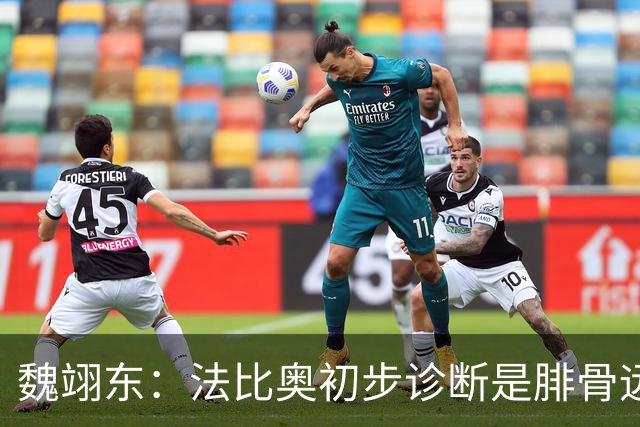 魏翊东：法比奥初步诊断是腓骨远端骨折 常规养伤时间可能要3个月